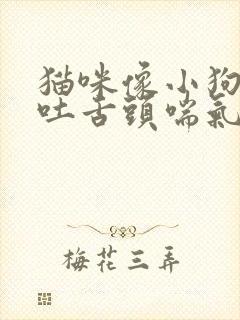 猫咪像小狗一样吐舌头喘气