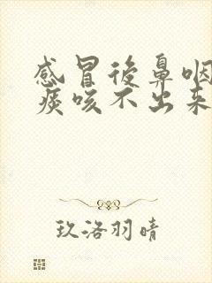 感冒后鼻咽部有痰咳不出来咽不下去