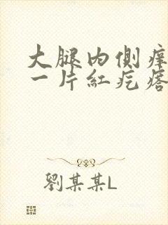 大腿内侧痒挠完一片红疙瘩