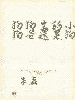 狗狗生的小狗像狗爸还是狗妈