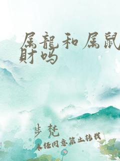 属龙和属鼠的合财吗