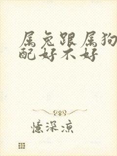 属兔跟属狗的婚配好不好