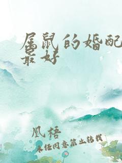 属鼠的婚配属相最好