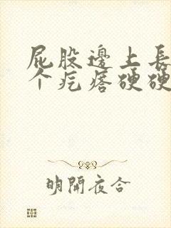 屁股边上长了一个疙瘩硬硬的不疼