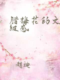 腊梅花的文案高级感