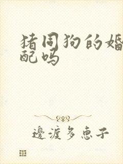 猪同狗的婚姻相配吗