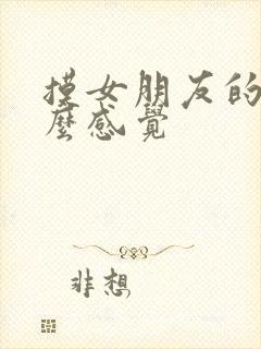 摸女朋友的胸什么感觉