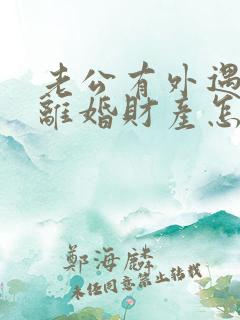 老公有外遇起诉离婚财产怎么分割