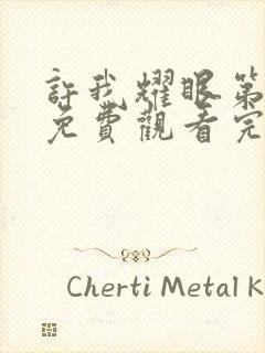 许我耀眼第9集免费观看完整版