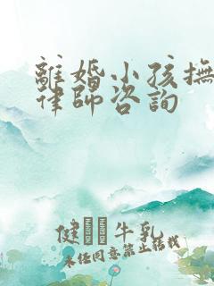 离婚小孩抚养权律师咨询