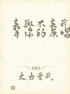 来与不来我都在等你的原唱