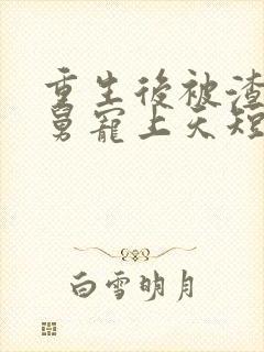 重生后被渣男舅舅宠上天短剧免费看