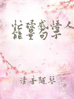 忙碌感悟人生正能量句子