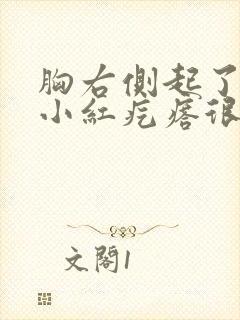 胸右侧起了很多小红疙瘩很疼