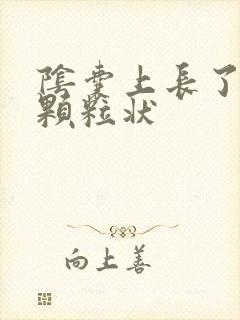 阴囊上长了白色颗粒状