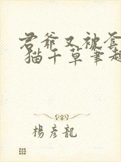 君爷又被套路了 猫千草笔趣阁小说