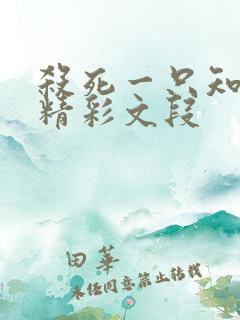 杀死一只知更鸟精彩文段