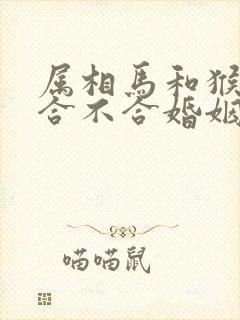 属相马和猴属相合不合婚姻