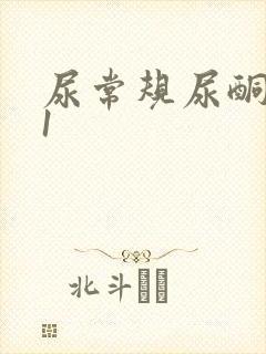 尿常规尿酮体十1