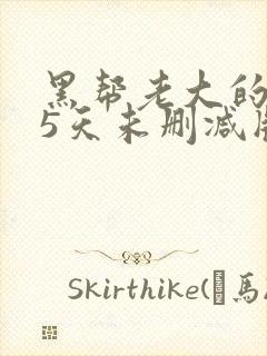 黑帮老大的365天未删减版