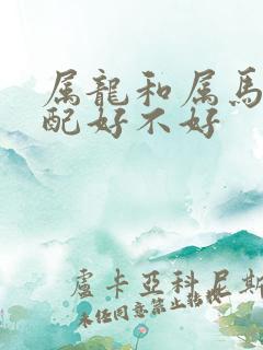 属龙和属马的婚配好不好