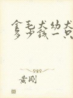 金毛犬幼犬一般多少钱一只