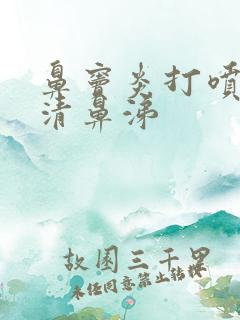 鼻窦炎打喷嚏流清鼻涕