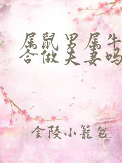 属鼠男属牛女适合做夫妻吗