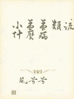 小弟弟类流脓是什么病