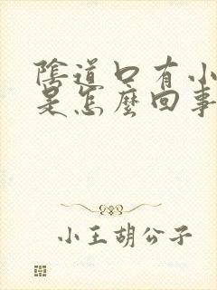 阴道口有小肉芽是怎么回事儿