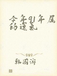 今年91年属羊的运气