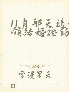 11月那天适合领结婚证的日子