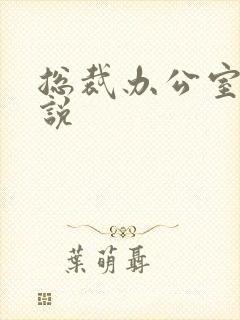 总裁办公室h小说