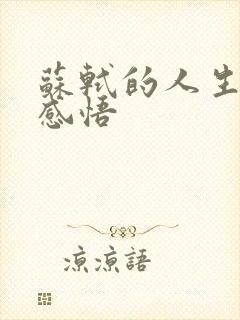 苏轼的人生经历感悟