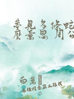 梦见多条蛇是什么意思 周公解梦