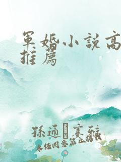 军婚小说高干文推荐