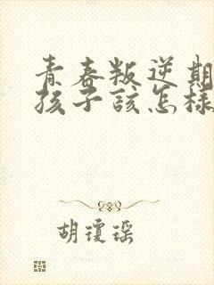 青春叛逆期的男孩子该怎样去沟通教育