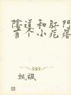 阴道和肛门之间有个小疙瘩很疼