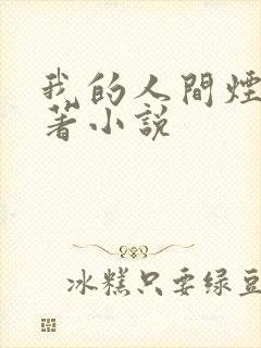 我的人间烟火原著小说