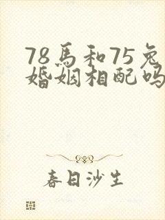 78马和75兔婚姻相配吗