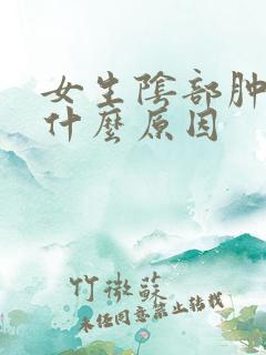 女生阴部肿痛是什么原因