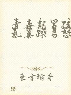 青春期男孩子脾气暴躁易怒