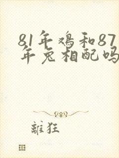 81年鸡和87年兔相配吗