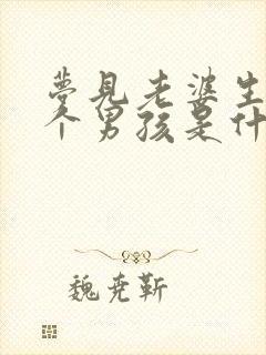 梦见老婆生了一个男孩是什么征兆