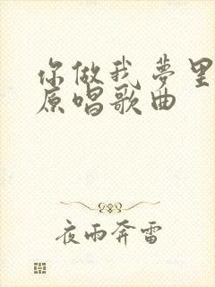 你做我梦里的人原唱歌曲