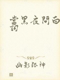 当黑夜问白天歌词