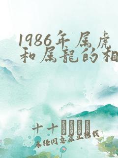 1986年属虎和属龙的相配吗