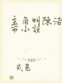 主角叫陈浩的都市小说