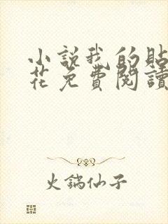 小说我的贴身校花免费阅读免费