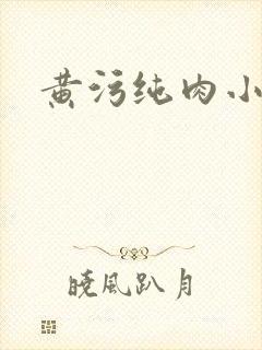 黄污纯肉小说